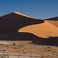 * Nomination Dune in Dead Vlei, Namibia --Ikiwaner 18:39, 21 October 2009 (UTC) * Promotion Great!--Mbz1 20:21, 21 October 2009 (UTC)